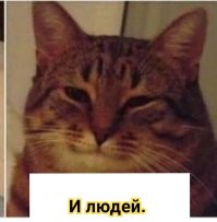Комаров можно отпугнуть дабстепом