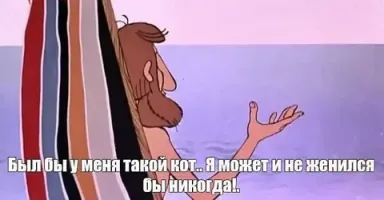 Лесной кот: никогда не подбирайте котят в лесу