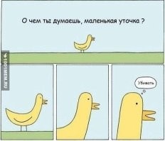 Феминистка вмешалась в поведение дикой природы, чтобы защитить утку