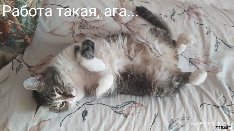 Смешные картинки