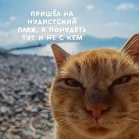Веселые нудисты устроили День Нептуна в Крыму и попали под проверку полиции