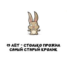 Это в неволе. Все выжившие на воле кролики после 20 переселяются в Австралию. А все думают, что это кенгуру