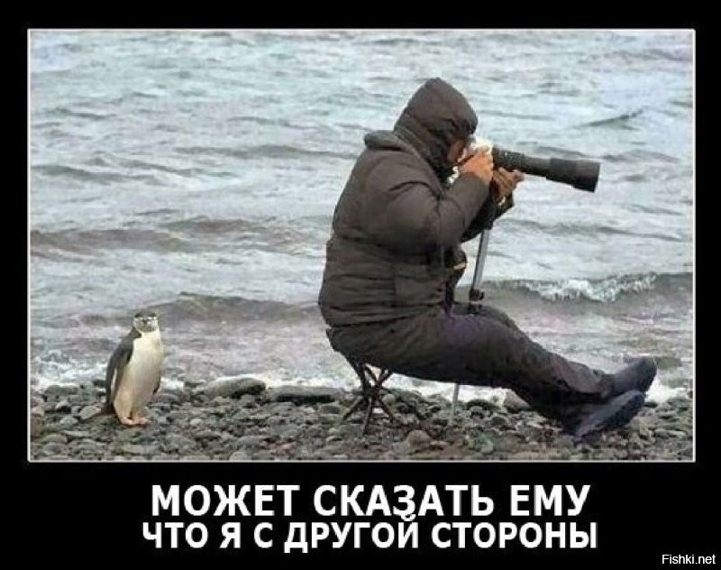 Всё вразнобой&nbsp;