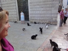 Пусть по Котору погуляет.