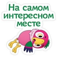 Тигр перепрыгнул через ограждение зоопарка, чтобы напасть на гиену