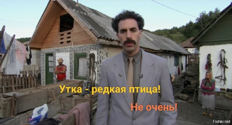 Феминистка вмешалась в поведение дикой природы, чтобы защитить утку