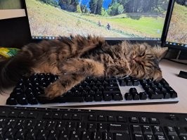Вот так и работаем