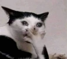 Девушки на природе открывают свои чакры