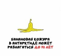 Чо за хрень? Она там замёрзнет, а в замороженном виде она разлагаться не будет.