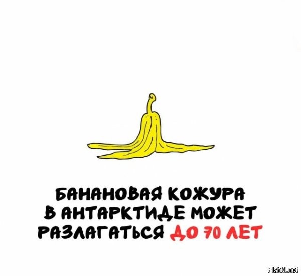 Чо за хрень? Она там замёрзнет, а в замороженном виде она разлагаться не будет.