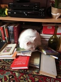 «Аполлона» не осилил, остальное прочёл.