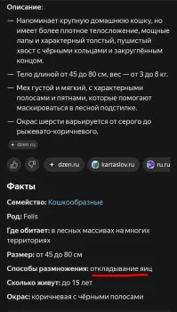 К вопросу об адекватности современных моделей ИИ.
Не столь давно в интернетиках возник интерес к лесным котам, здесь тоже мелькала пара постов о них. Некий товарищ решил поискать подробности об этих животных. Вот, что он получил в ответ.