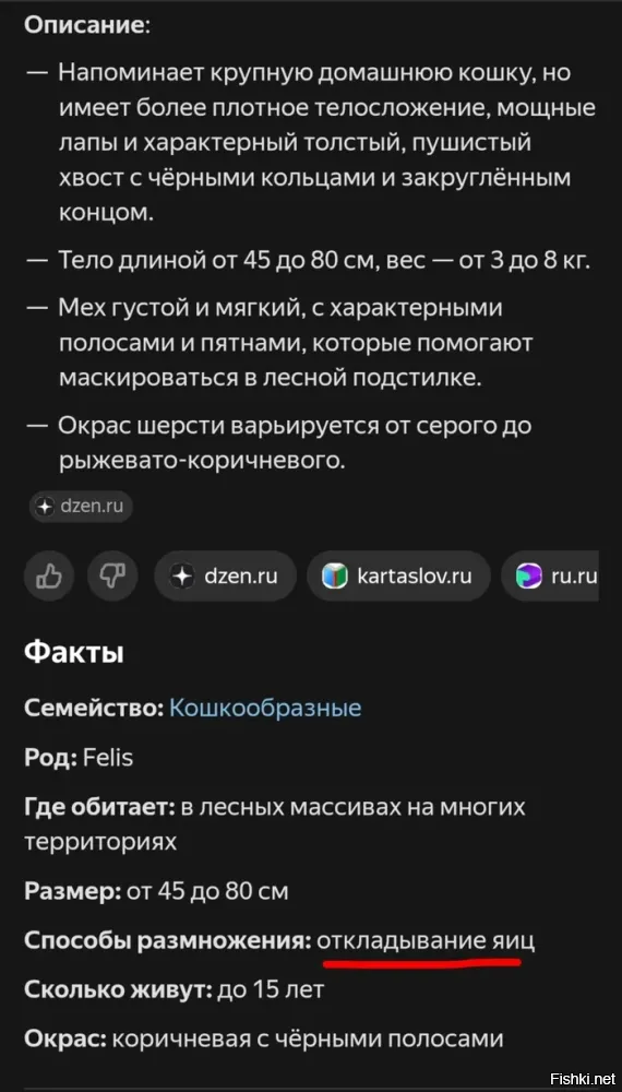 К вопросу об адекватности современных моделей ИИ.
Не столь давно в интернетиках возник интерес к лесным котам, здесь тоже мелькала пара постов о них. Некий товарищ решил поискать подробности об этих животных. Вот, что он получил в ответ.