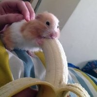 17 фото мега-огромных вещей, рядом с которыми начинаешь подозревать, что ты — лилипут