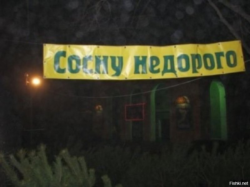 В Тюмени через суд запретили провокационную рекламу стоматологии