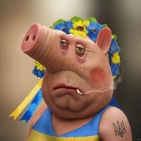 Чемпионат по поросячьему визгу