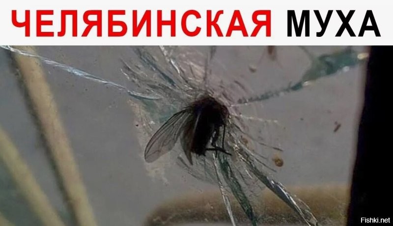 Муха помогла гольфисту попасть в лунку