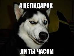 Об Аляске и не только