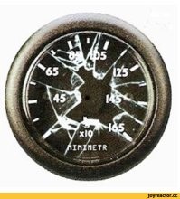 Как взвесить детёныша коалы без стресса