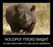 Что делать при встрече с носорогом