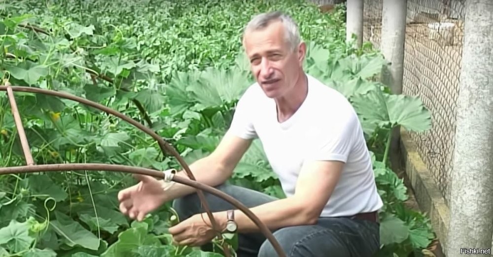 Или ощущение...
