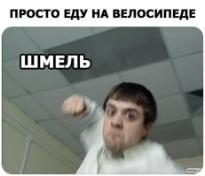 Муха помогла гольфисту попасть в лунку