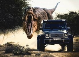 Все побежали, и я побежал: необычная погоня на Камчатке