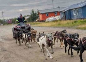 Чувак бензин экономит?