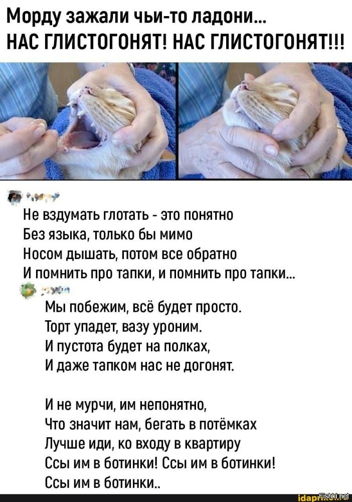 Не ищите здесь смысл. Здесь в основном маразм