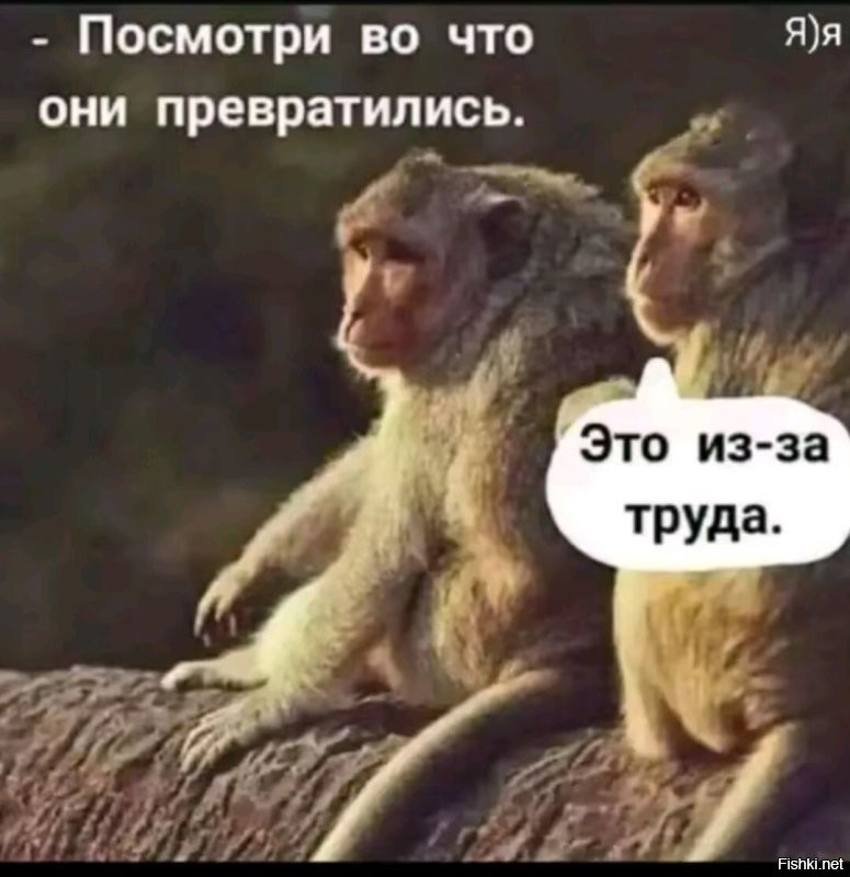 Санкции всё таки добрались до России