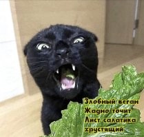 Не ищите здесь смысл. Здесь в основном маразм