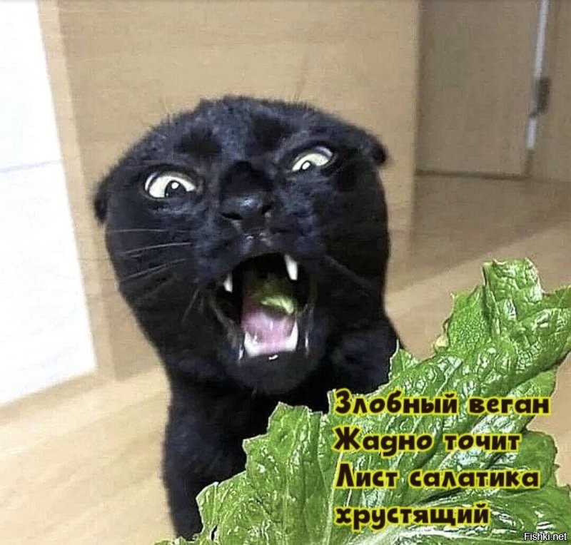 Не ищите здесь смысл. Здесь в основном маразм