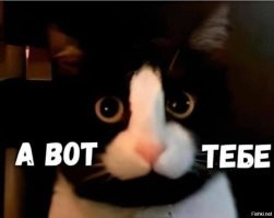 Держи забрало шире, лошадь ибанная