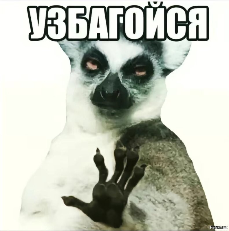 Как взвесить детёныша коалы без стресса