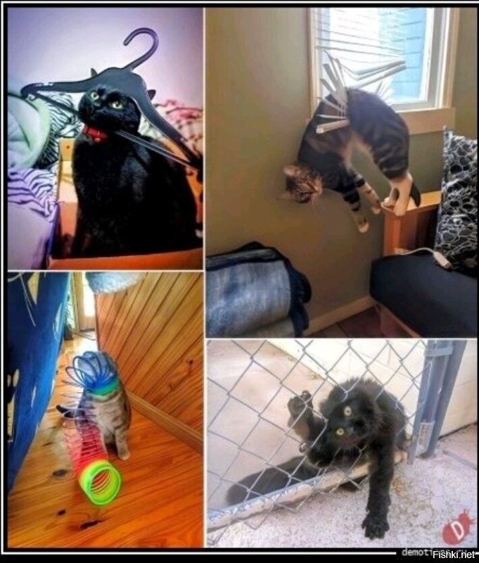 Они всегда элегантны....