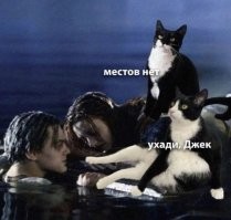 Не ищите здесь смысл. Здесь в основном маразм