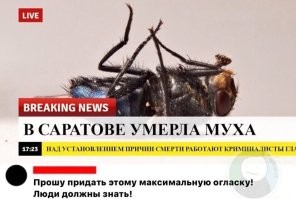 Из жизни геймеров: Фёдор Смолов попросил прощения у мамы игрока, которую упомянул во время конфликта в игре