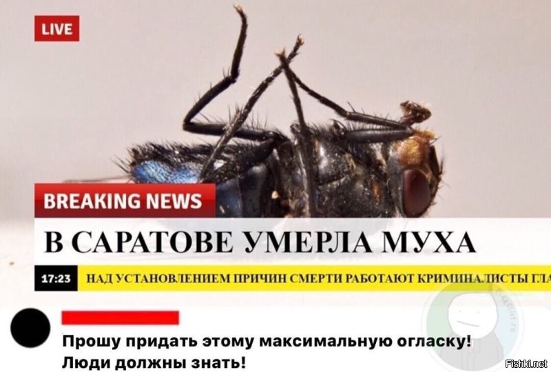Из жизни геймеров: Фёдор Смолов попросил прощения у мамы игрока, которую упомянул во время конфликта в игре