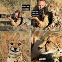 Все равно вот так будет. Хоть с приложением, хоть без него.