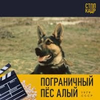 Собаки в 6 популярных советских фильмах: кто сыграл четвероногих героев