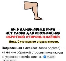 А вдруг ты не знал…