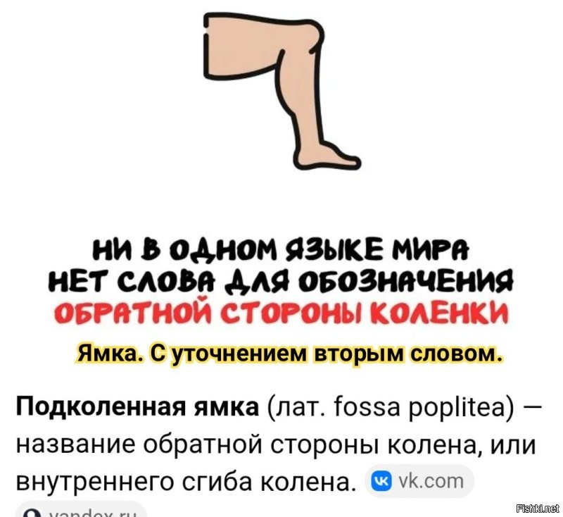 А вдруг ты не знал…
