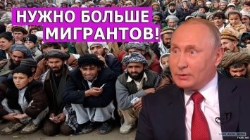 В подмосковных аэропортах начали штрафовать таксистов-зазывал