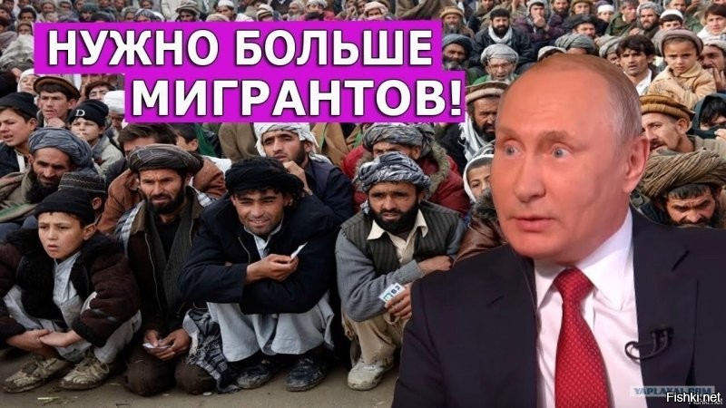 В подмосковных аэропортах начали штрафовать таксистов-зазывал