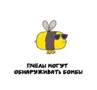 Да кто угодно может обнаружить бомбу