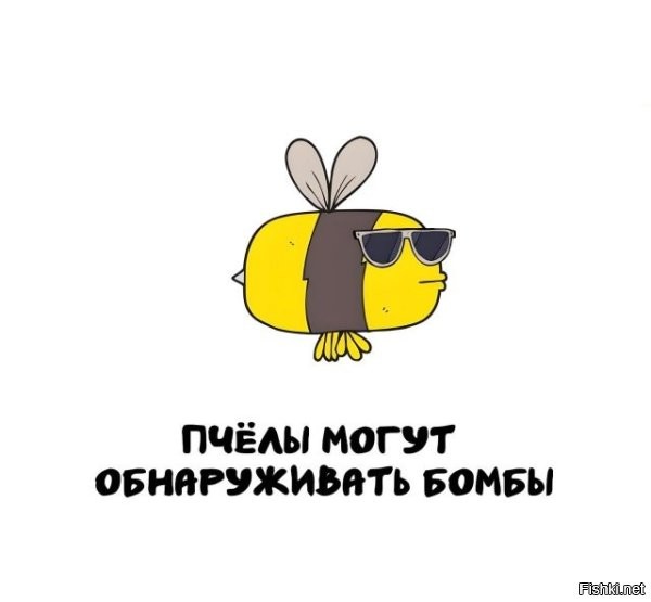 Да кто угодно может обнаружить бомбу
