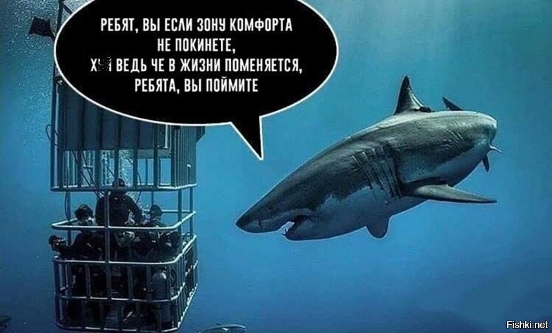 Золотую акулу поймали в Коста-Рике