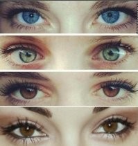 Не ищите здесь смысл. Здесь в основном маразм