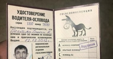 Новая концепция транспортных средств (квадропод)