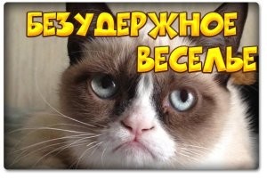 В Германии провели чемпионат по парковке магазинных тележек